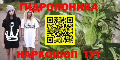spice Владикавказ