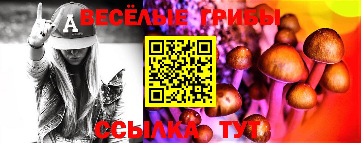 Псилоцибиновые грибы Cubensis Бугуруслан